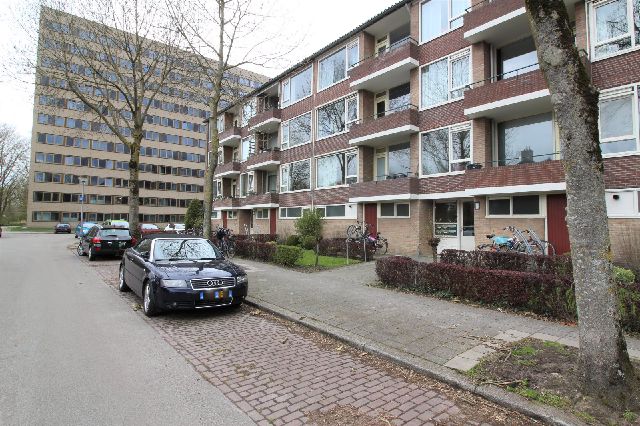 Duindoornstraat, Groningen