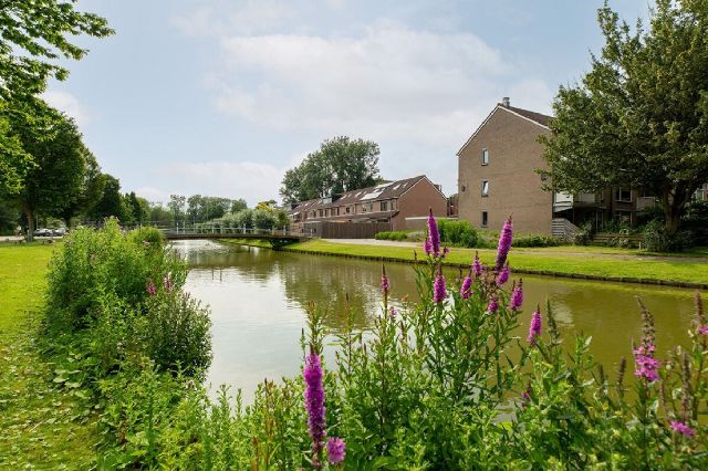 Wiardapad 47, 3052 SZ Rotterdam