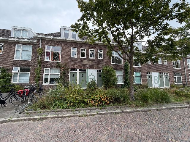 Koninginnelaan, Groningen