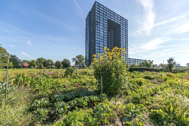 Regattaweg 322, 9731 ND Groningen