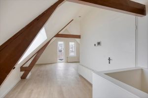 Henegouwerlaan, Rotterdam
