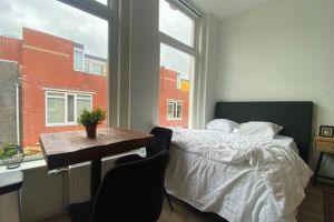 Ganzevoortsingel, Groningen