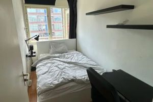 Plutolaan, Groningen