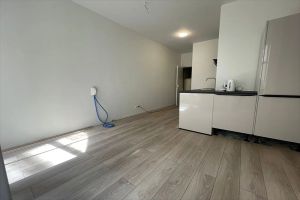 T.B. Markten, Groningen