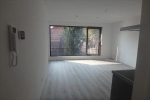 Iepenlaan, Eindhoven
