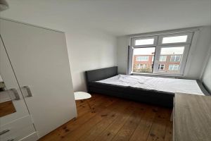 Mient, Den Haag