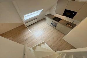 H. Brink, Groningen
