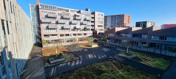 Friesestraat 93 3812EB Amersfoort