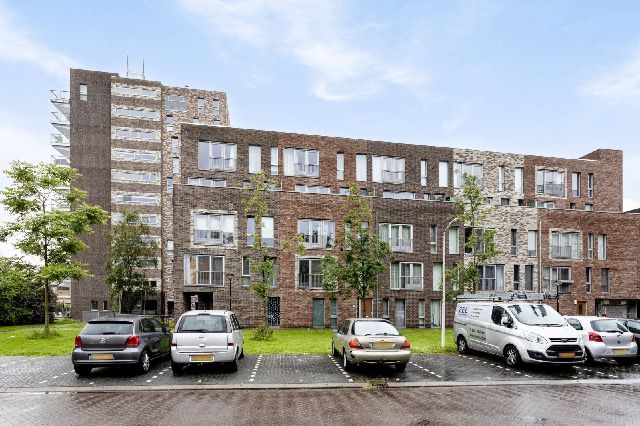 Bermuda, Zaandam