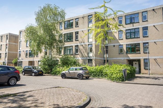 Narcisplantsoen, Haarlem