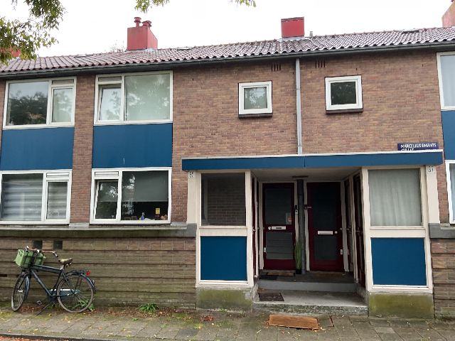 Marcellus Emantsstraat 35-1, 1064 EV Amsterdam, Netherlands