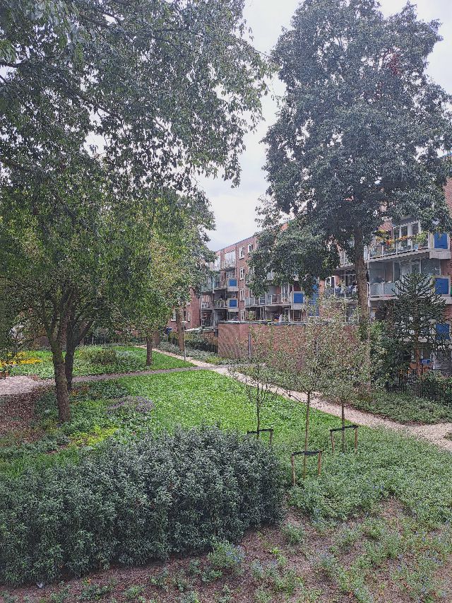 Apartment (35.0 m²) for rent in Amsterdam (Ingenhouszhof 76, 1097 GL Amsterdam, Netherlands)