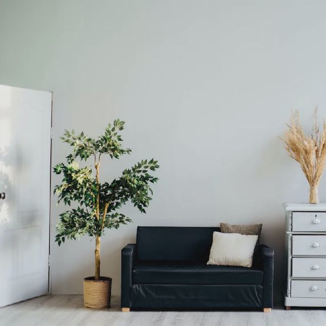 Studio (22.0 m²) for rent in Maastricht (Tongerseweg, 6213 ET Maastricht, Netherlands)