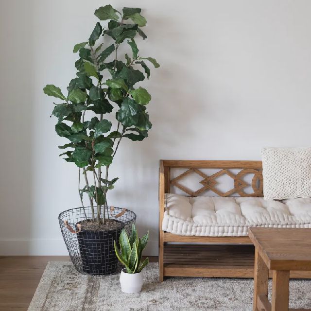 Apartment (30.0 m²) for rent in The Hague (Maaswijkstraat 24C, 2586 CD The Hague, Netherlands)