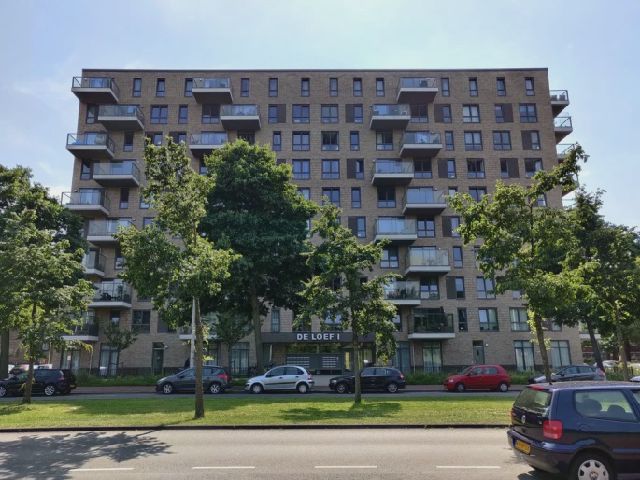 Loevesteinlaan 375 E, 2533 AM 's-Gravenhage