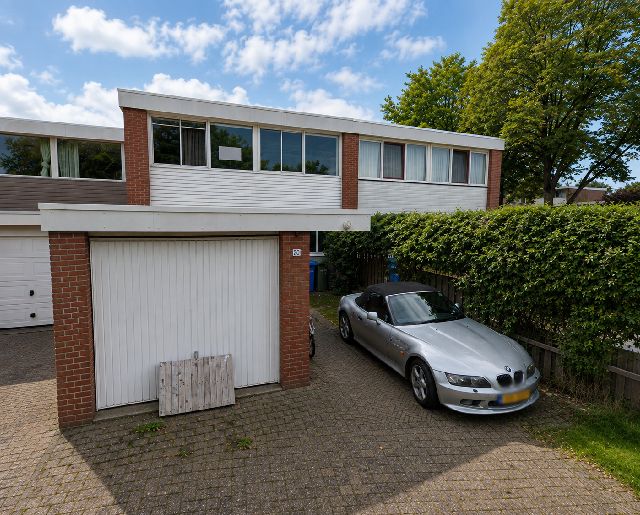 Kolkrijst, Hoogland