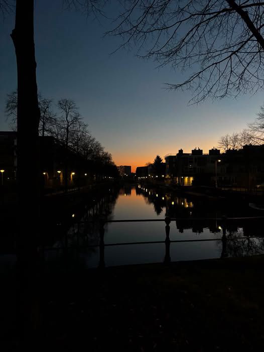 in Amsterdam