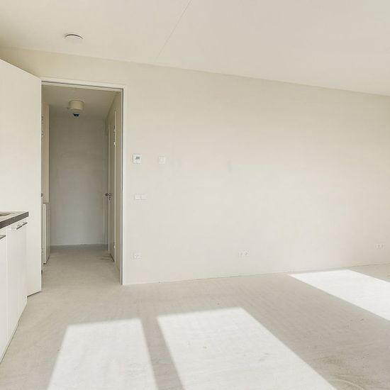 Turfhaven 167, 2511, The Hague