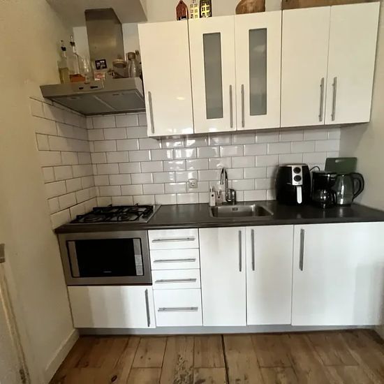 Fahrenheitstraat 224, 2561, The Hague