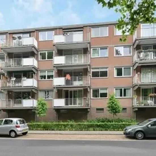 Rijnauwenstraat 1, 4834, Breda