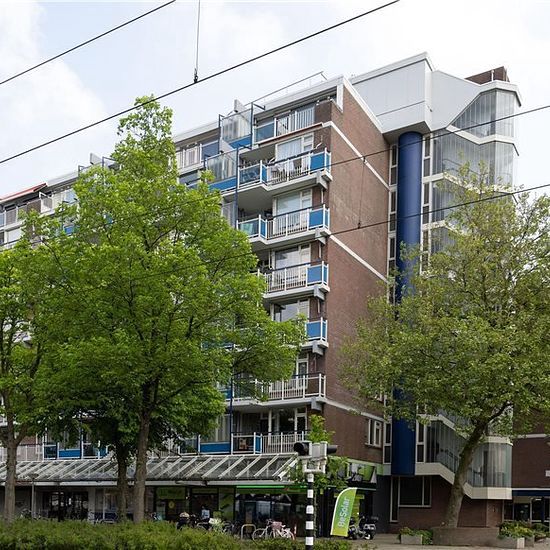 Zwaluwlaan 302, 3121, Schiedam