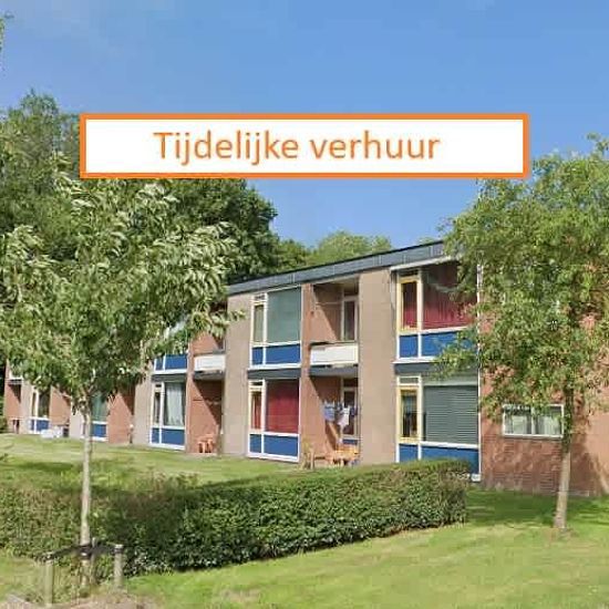 Spirealaan 128, 9741, Groningen