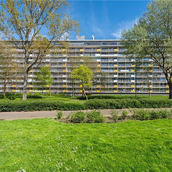 Bachplein 196, 3122, Schiedam