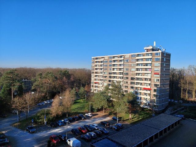 Te huur in Arnhem