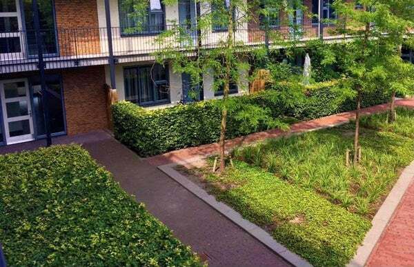 Appartement te huur in Amersfoort
