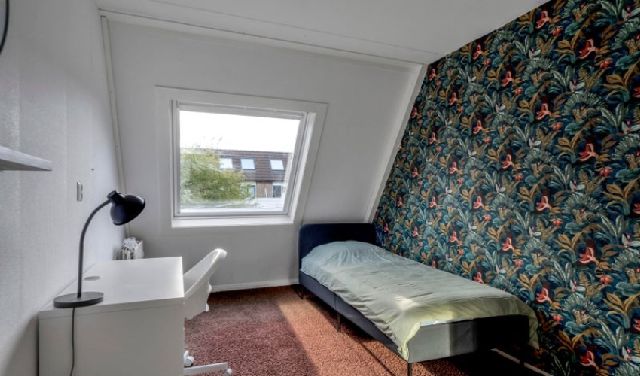 Kamer / Studio te huur in Rotterdam