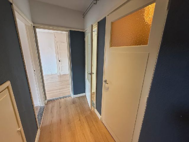 Korhaanstraat 87C, 3083 XK Rotterdam, Netherlands