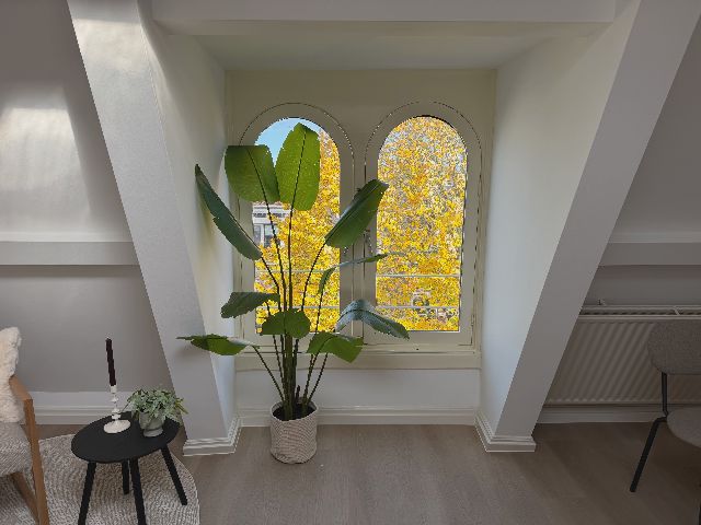 Burgemeester Reigerstraat, 3581 KJ Utrecht, Netherlands