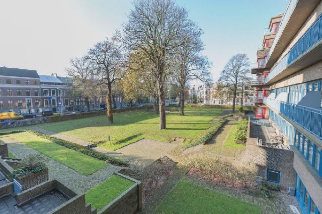 2595 GK Den Haag (Bezuidenhout-Midden)