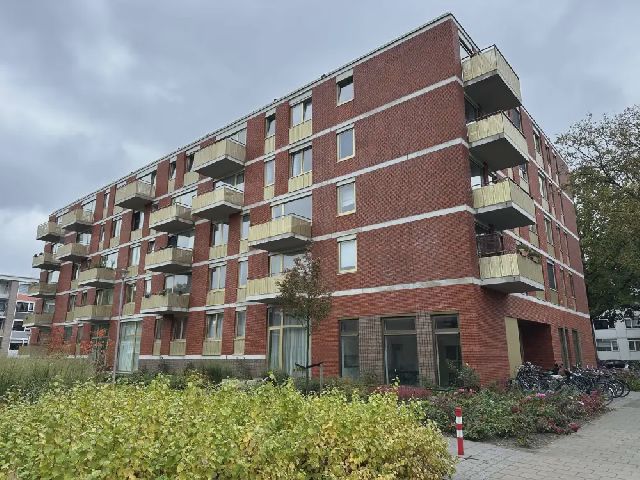 9725 JG Groningen (Herewegbuurt)