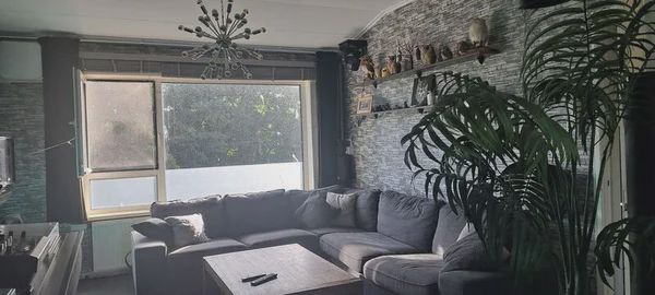 1505 CR Zaandam (Bomenbuurt)