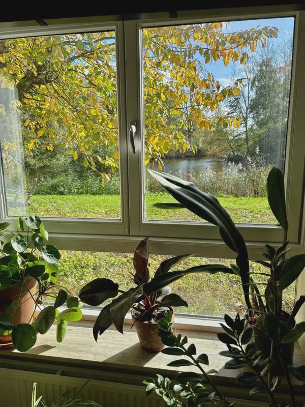1102 SE Amsterdam (H-buurt)