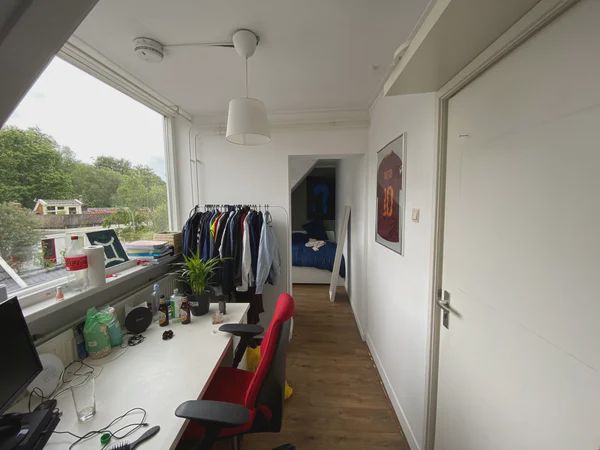 9717 LR Groningen (Noorderplantsoenbuurt)
