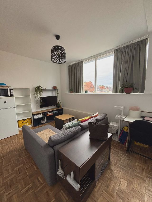 9714 GK Groningen (Professorenbuurt)