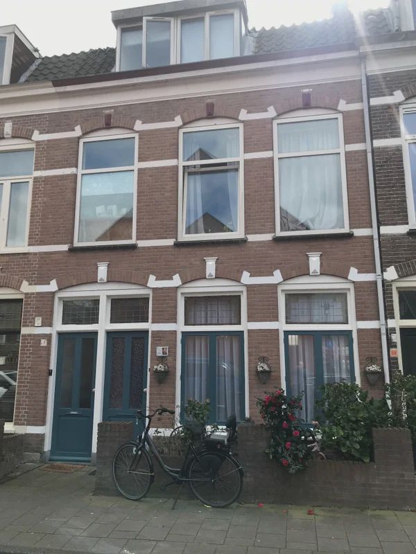 2021 ZV Haarlem (Frans Halsbuurt)