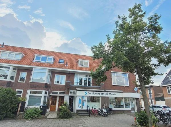 2023 RB Haarlem (Bomenbuurt-oost)