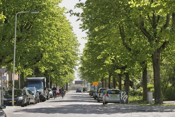 6828 ZN Arnhem (Arnhemse Broek)