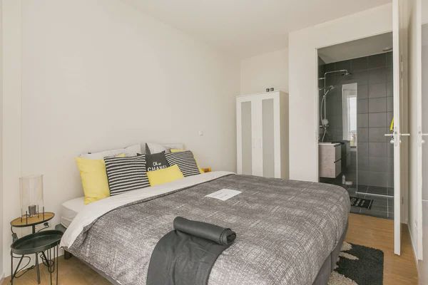 1097 DN Amsterdam (Frankendael)