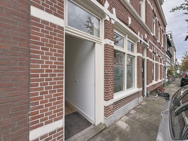 2013 PS Haarlem (Leidsebuurt-west)