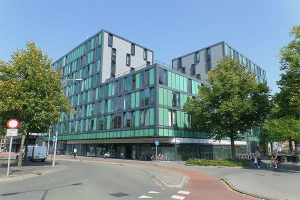 9714 DZ Groningen (Professorenbuurt)