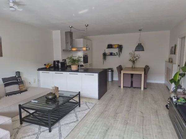 2036 PN Haarlem (De Burgen)