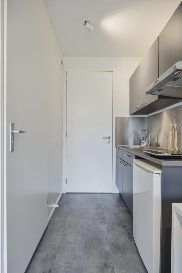 6229 HD Maastricht (Randwyck)