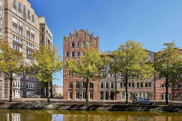 The Hague