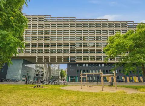 Borneolaan 193, 1019 HX, Amsterdam