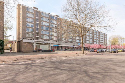 Beresteinlaan, 2542JA Den Haag