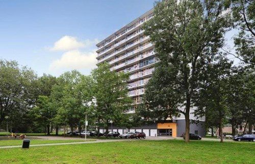 Elviraland, 2591GE Den Haag
